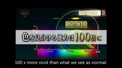 Concetta Antico - Tetrachromat