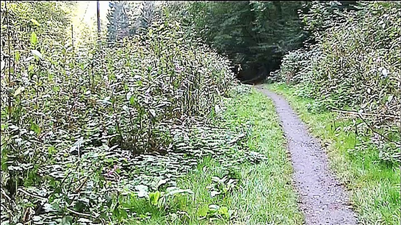 Auf großer Tour den Bergischen Weg entlang