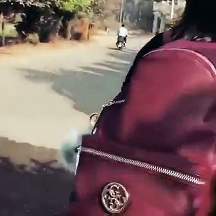 Pardesi Girl