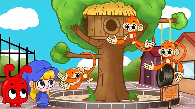 Itsy Bitsy Spider Song ( Incy Wincy Spider ) Nursery rhymes songs with lyrics and action - Morphle