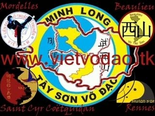 Minh long bretagne Techniques de Combat