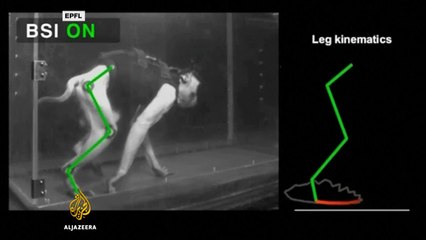 Brain implants allow paralysed monkeys to walk