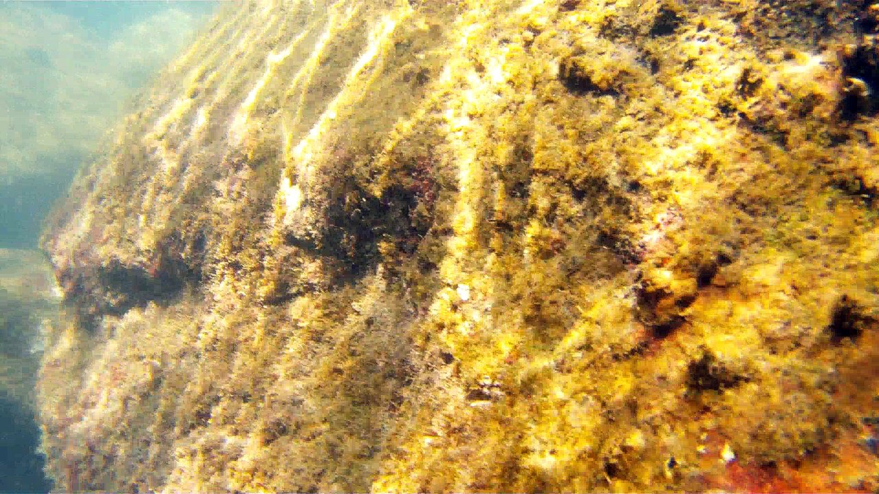 Apneia, mergulho contemplativo, Ubatuba, SP, Brasil, Marcelo Ambrogi, ILha do Prumirim, Litoral Norte, Ilhas e mares,