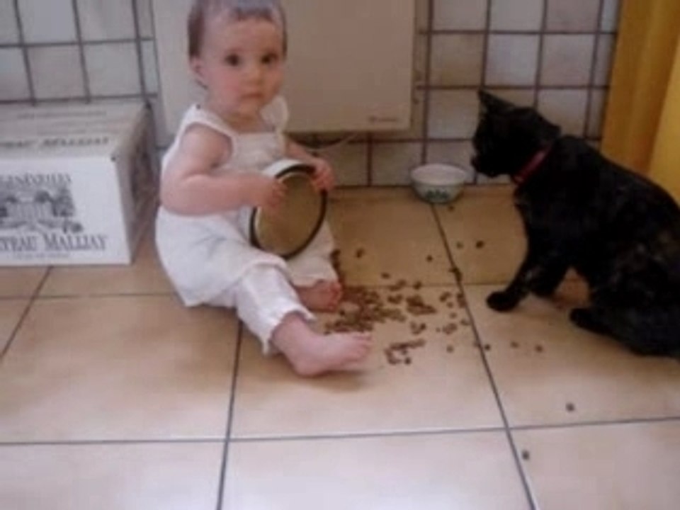 Miam les croquettes