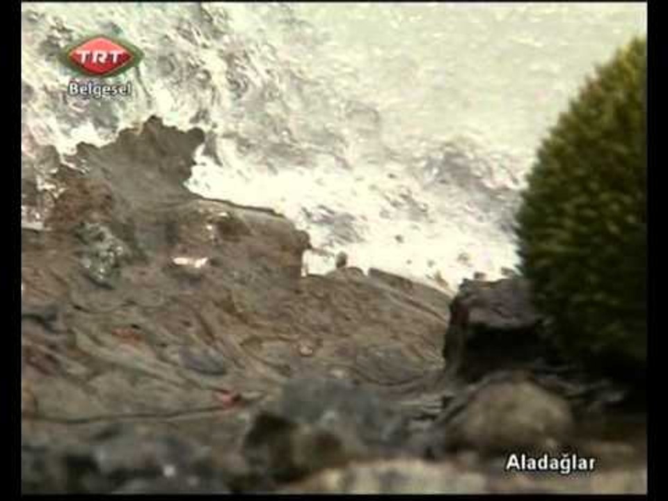 Aladağlar 3.bölüm TRT Belgesel