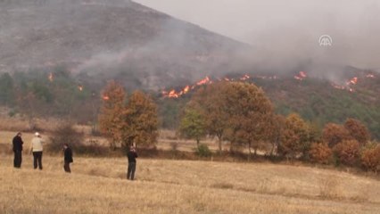 Niksar'da Orman Yangını