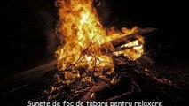 Sunete de foc de tabără pentru relaxare