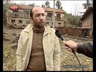 Zağarların Peşinde 1 TRT Belgesel