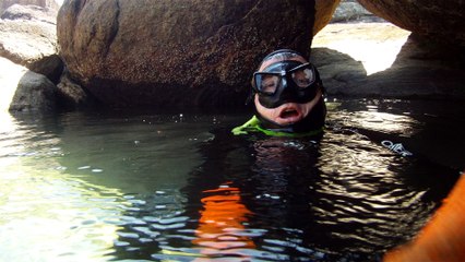 Apneia, mergulho contemplativo, Ubatuba, SP, Brasil, Marcelo Ambrogi, ILha do Prumirim, Litoral Norte, Ilhas e mares,