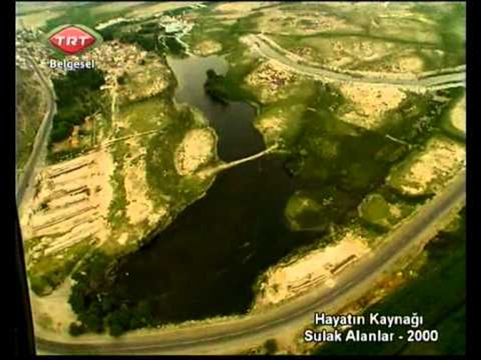 Hayatın Kaynağı Sulak Alanlar 3.Bölüm TRT Belgesel