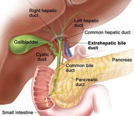 What Causes Gallbladder Disease