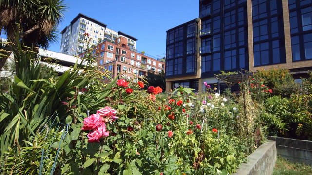 Working Together for Stormwater Solutions in Puget Sound | Boeing