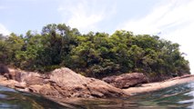 Apneia, mergulho contemplativo, Ubatuba, SP, Brasil, Marcelo Ambrogi, ILha do Prumirim, Litoral Norte, Ilhas e mares,