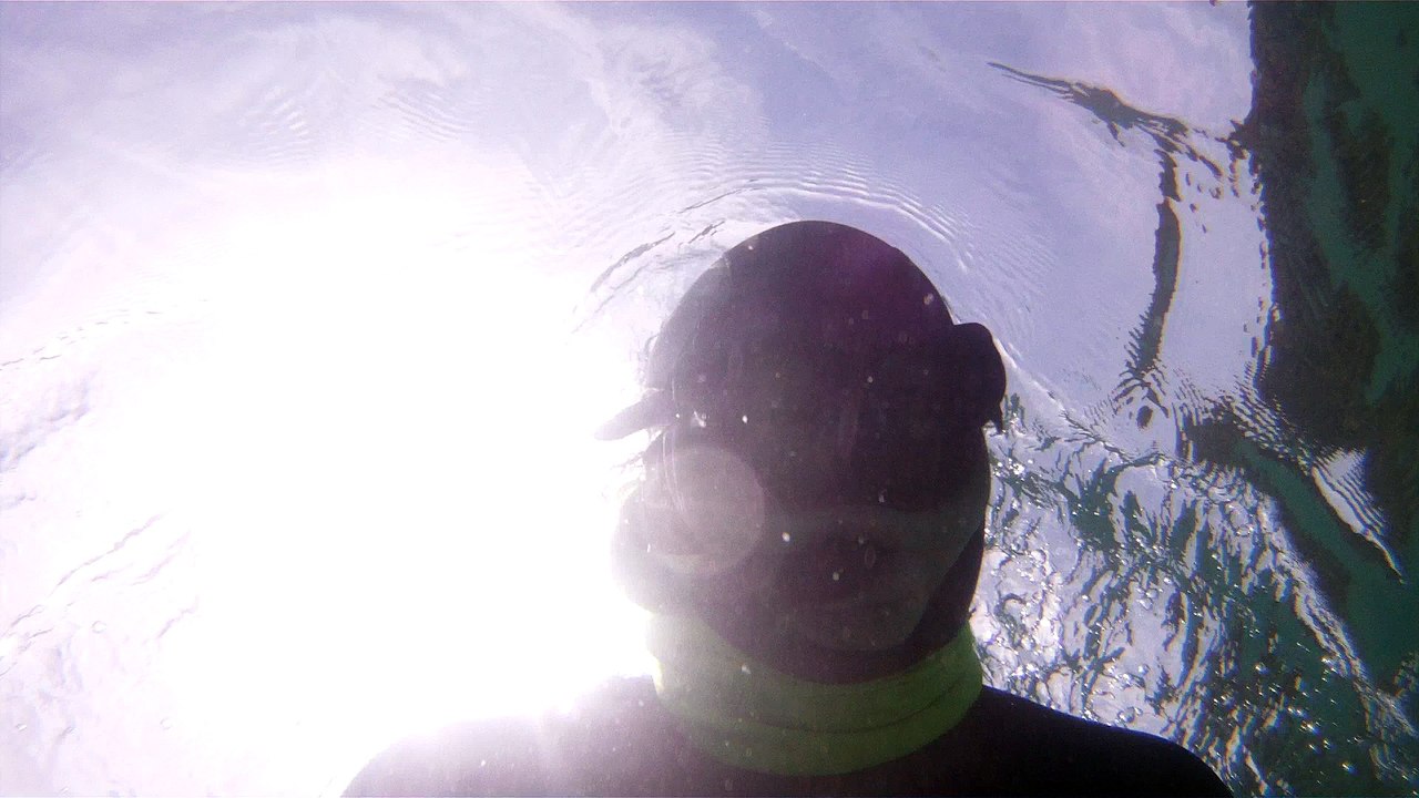 Apneia, mergulho contemplativo, Ubatuba, SP, Brasil, Marcelo Ambrogi, ILha do Prumirim, Litoral Norte, Ilhas e mares,