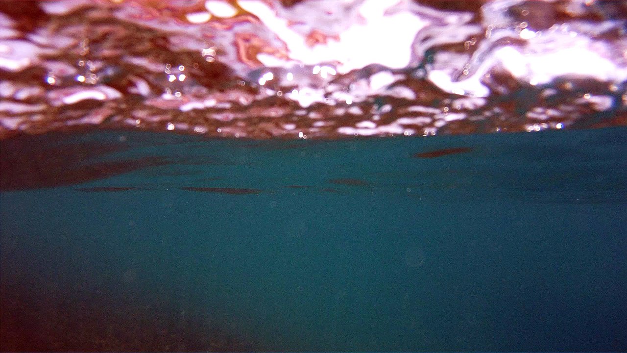 Apneia, mergulho contemplativo, Ubatuba, SP, Brasil, Marcelo Ambrogi, ILha do Prumirim, Litoral Norte, Ilhas e mares,