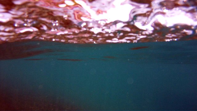 Apneia, mergulho contemplativo, Ubatuba, SP, Brasil, Marcelo Ambrogi, ILha do Prumirim, Litoral Norte, Ilhas e mares,