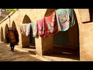 Başka Hayatlar - 2 . Bölüm Fragman | TRT Belgesel