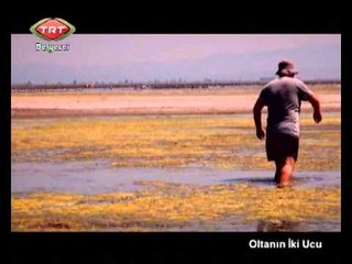 Oltanın İki Ucu 2  Seri 4 Bölüm