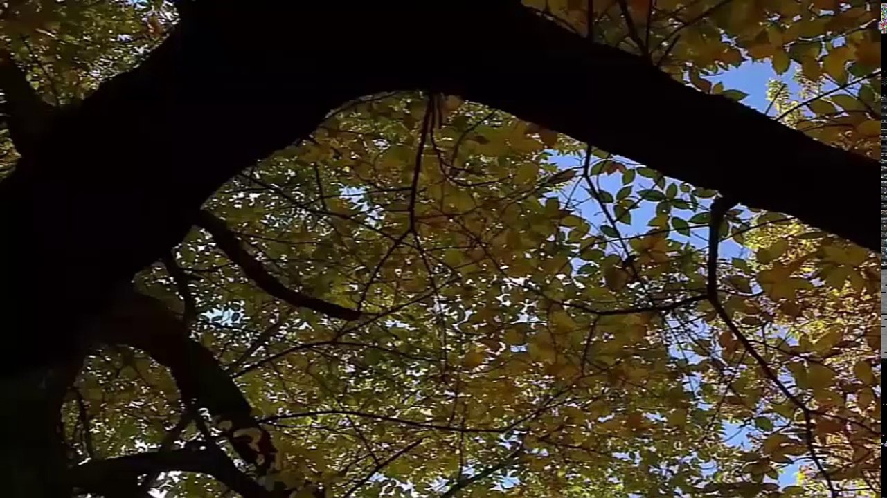 Vol - 2 Musica la mejor flauta de pan relajante y Piano  Instrumental Pan Flute Music