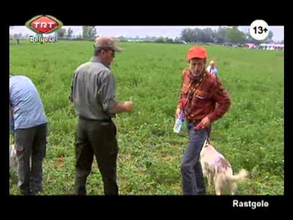 Rastgele 3