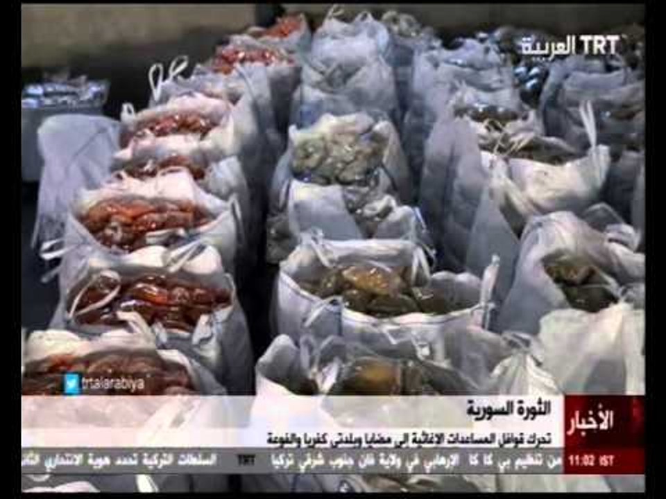 مداخلة الناشط السوري مازن الشامي حول دخول قافلة المساعدات الى مضايا