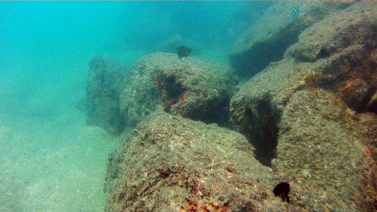 Apneia, mergulho contemplativo, Ubatuba, SP, Brasil, Marcelo Ambrogi, ILha do Prumirim, Litoral Norte, Ilhas e mares,