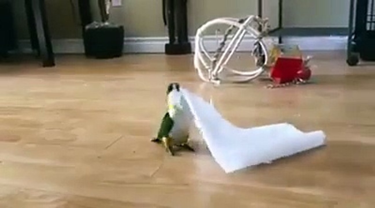 like a bird :D