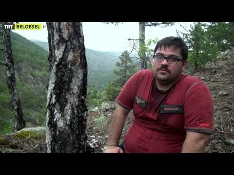 Kılavuz - 1. Bölüm Fragman | TRT Belgesel