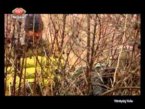 Yürüyüş Yolu 05.bölüm Güvercinlik Vadisi / KAPADOKYA