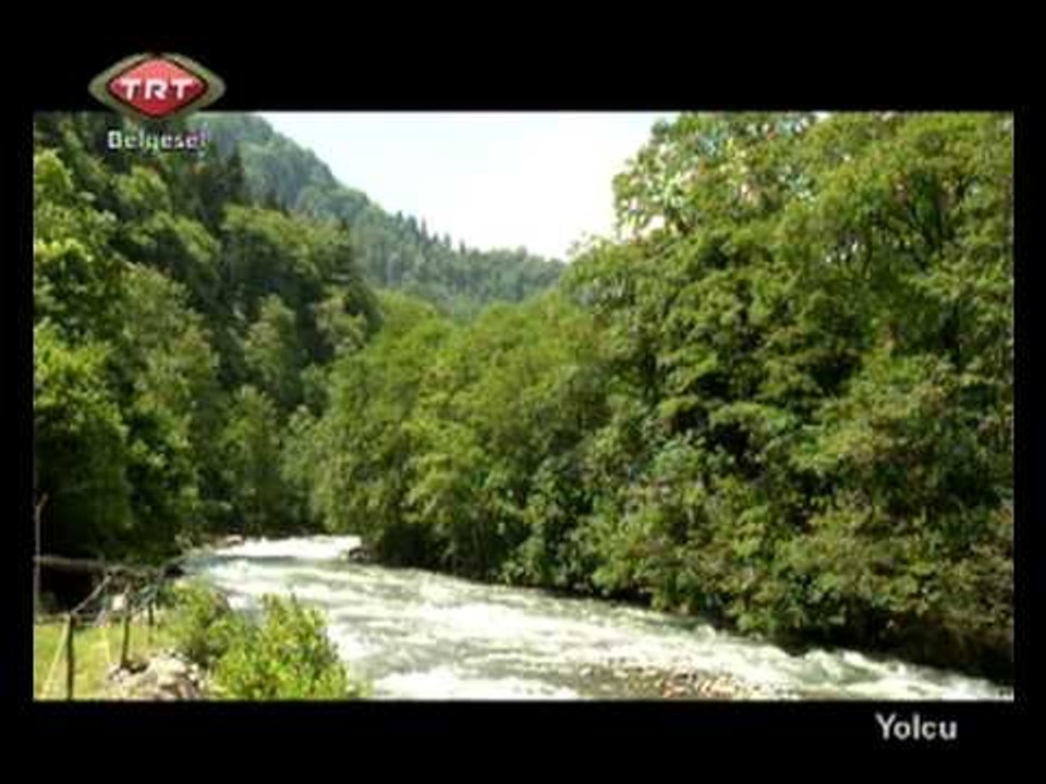 Yolcu 5