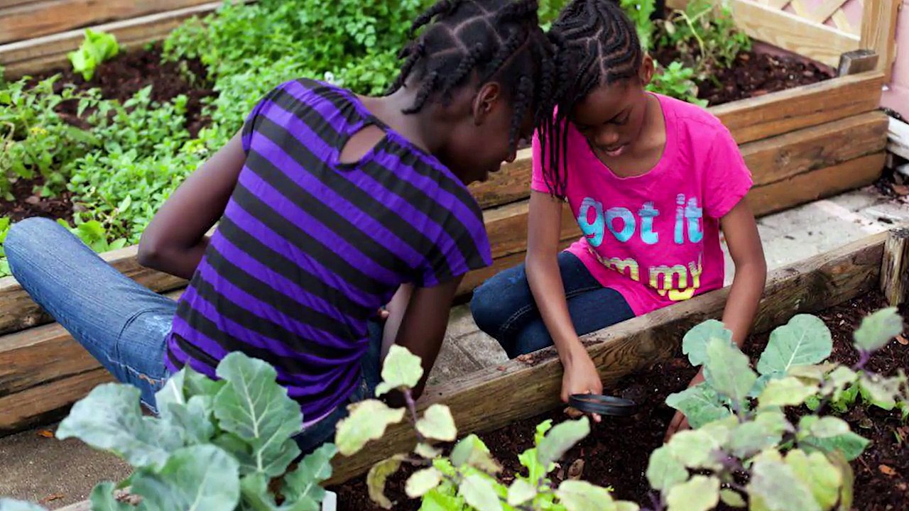 WFTV Ch. 9 Names Shanta Barton-Stubbs as Central Florida's 2016 Cox Conserves Hero | Cox Enterprises