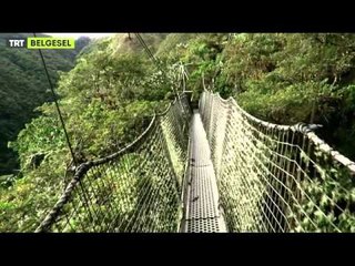 Yok Olmadan Keşfet - Fragman - TRT Belgesel