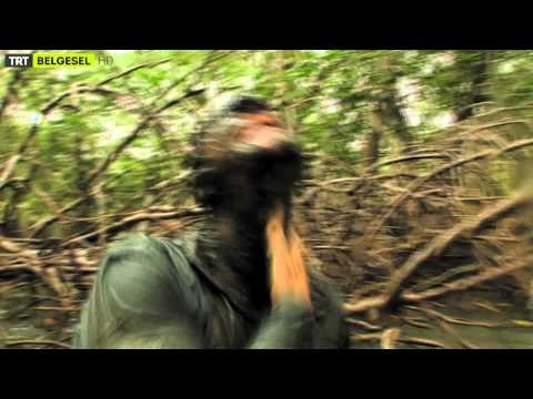 İnsan Doğaya Karşı - Fragman - TRT Belgesel