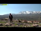 Anadolu'nun Mirası - 4. Bölüm Fragman - TRT Belgesel