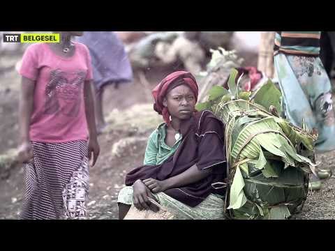 Bir Dünya Yaşam - Genel Fragman - TRT Belgesel