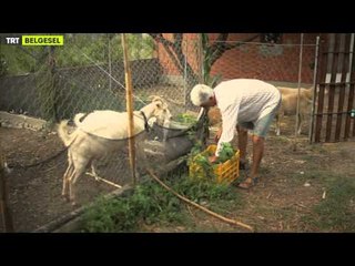 Bi Çiftlik - 3. Bölüm Avşa Fragman | TRT Belgesel