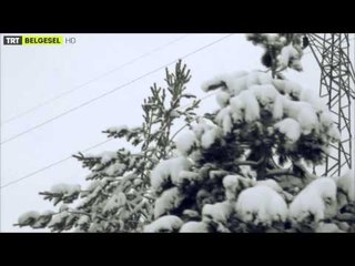 Ekmek Parası - 4. Bölüm Kar Adamları | TRT Belgesel