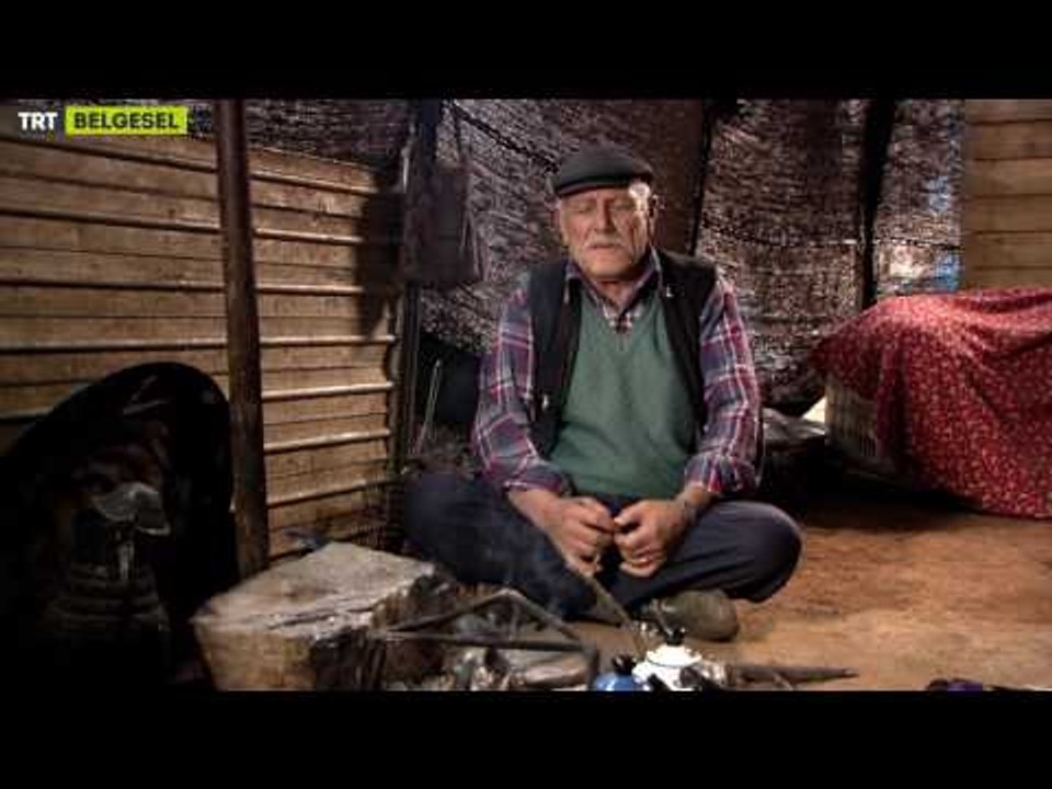 Kuş Dili Karınca Kelamı - 2. Fragman - TRT Belgesel