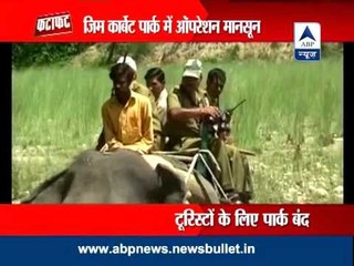 Operation monsoon in Jim Corbett park