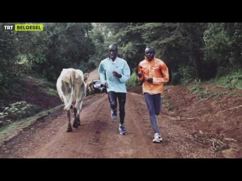 Belgesel Film Kuşağı - Fragman - TRT Belgesel