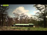 Yabancı Hayatı Keşfet - 2. Bölüm Nakuru'nun Kayıp Flamingoları - TRT Belgesel