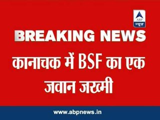 BSF soldier Ram Niwas Meena,injured in Pak firing, dies