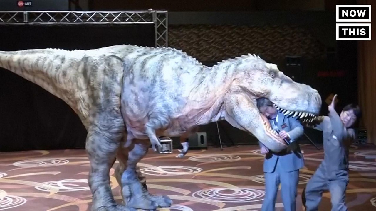 IRL Jurassic Park