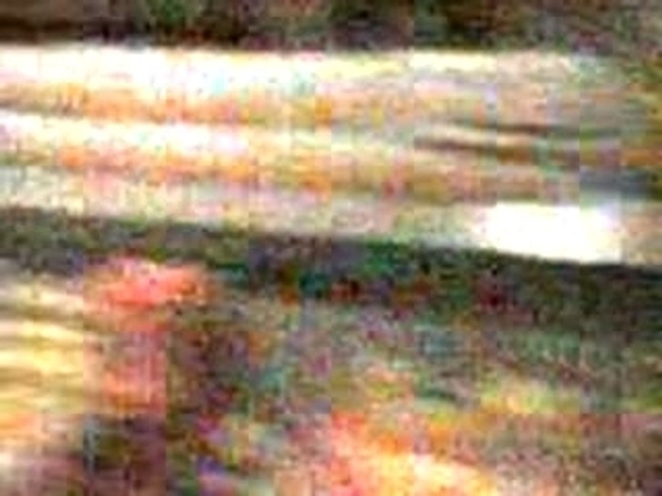 Video 0022