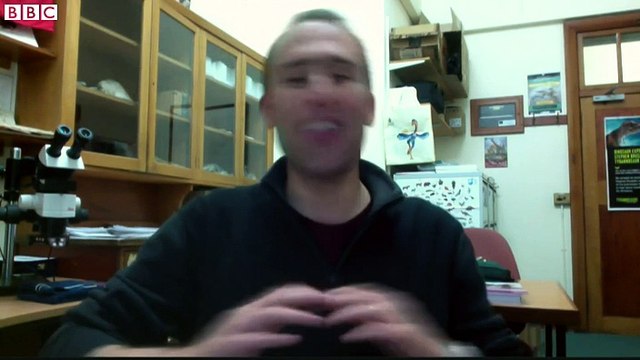 Palaeontologist Stephen Brusatte explains the significance of the newly discovered dinosaur fossil that was almost destr