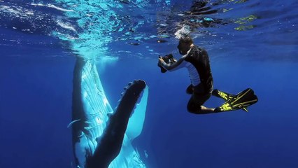 Introducing Tales By Light - Canon Australia's first TV series on the National Geographic Channel