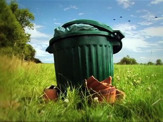 Minuscule - Lady Bug / La Coccinelle (Season 1)