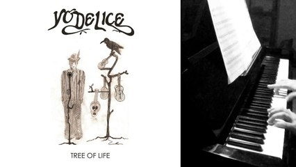 Yodelice - Tree Of Life - Piano