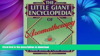 READ  The Little Giant Encyclopedia of Aromatherapy FULL ONLINE