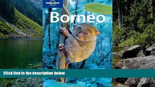 Best Deals Ebook  Borneo (Lonely Planet Travel Guides)  Best Buy Ever